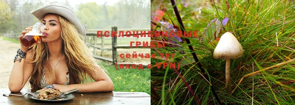 гидра Гусиноозёрск