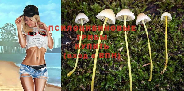 эйфоретик Михайловск