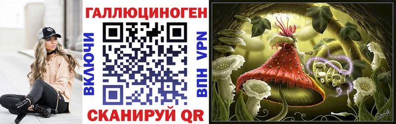 blacksprut tor  Донецк  Псилоцибиновые грибы ЛСД 