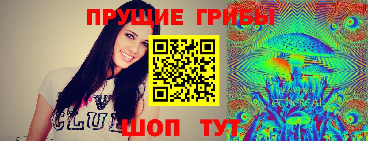 Псилоцибиновые грибы Magic Shrooms  Галлюциногенные грибы мицелий  Донецк 